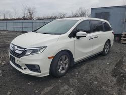 2019 Honda Odyssey EXL en venta en Marlboro, NY