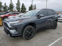 Salvage cars for sale at Rancho Cucamonga, CA auction: 2024 Toyota Rav4 XSE