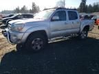 2008 Toyota Tacoma Double Cab Prerunner