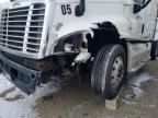 2010 Freightliner Cascadia 125