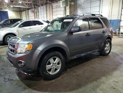 2010 Ford Escape XLT en venta en Woodhaven, MI