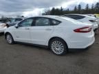 2014 Ford Fusion S Hybrid