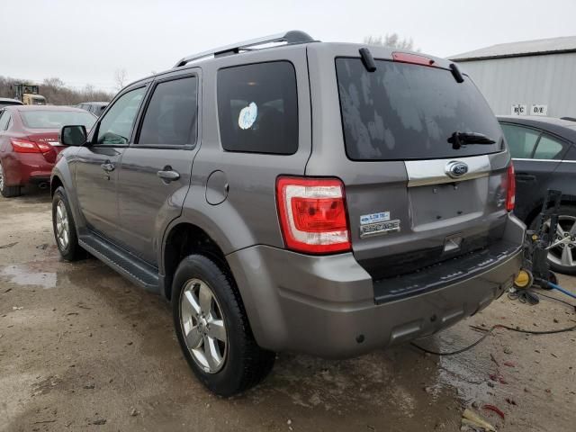 2011 Ford Escape Limited