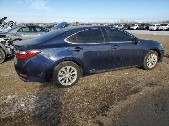 2013 Lexus ES 300H