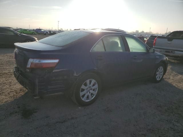 2009 Toyota Camry Hybrid