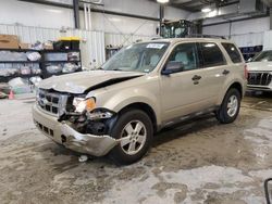 Salvage cars for sale at Bridgeton, MO auction: 2011 Ford Escape XLT