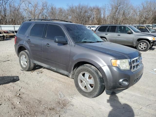 2011 Ford Escape XLS