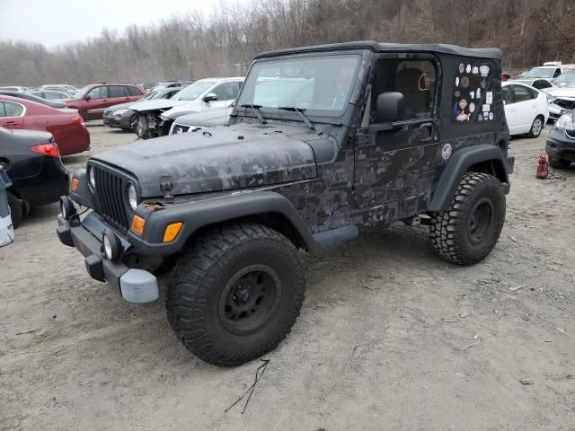 2003 Jeep Wrangler / TJ Sahara