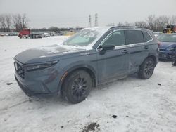 Salvage cars for sale at Barberton, OH auction: 2024 Honda CR-V Sport