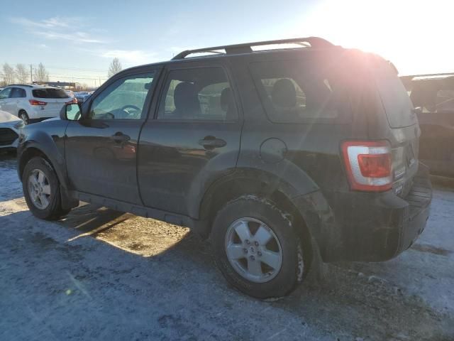 2011 Ford Escape XLT