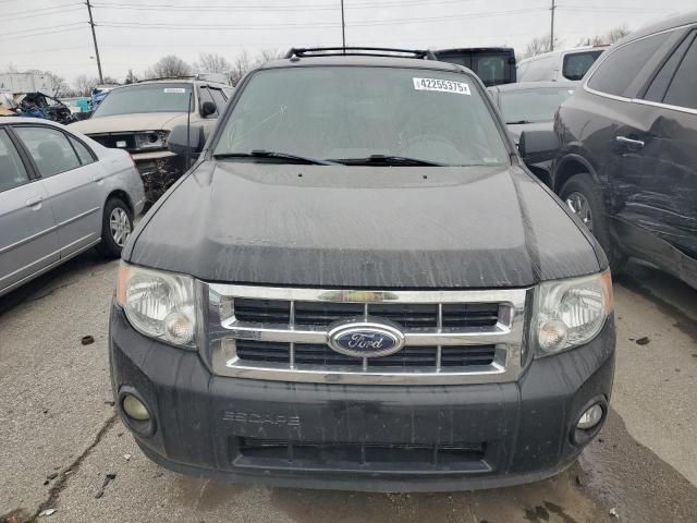 2012 Ford Escape XLT