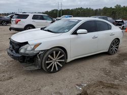 Nissan Vehiculos salvage en venta: 2014 Nissan Maxima S