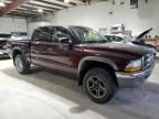 2004 Dodge Dakota Quad SLT