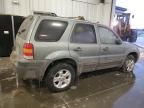 2006 Ford Escape XLT