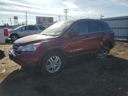 Salvage cars for sale at Chicago Heights, IL auction: 2010 Honda CR-V EXL