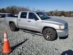 2005 Dodge Dakota Quad SLT