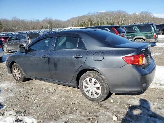 2009 Toyota Corolla Base