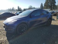 Tesla salvage cars for sale: 2021 Tesla Model Y