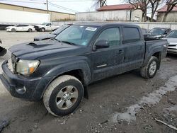 Salvage cars for sale at Lexington, KY auction: 2009 Toyota Tacoma Double Cab