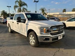 Ford salvage cars for sale: 2019 Ford F150 Supercrew