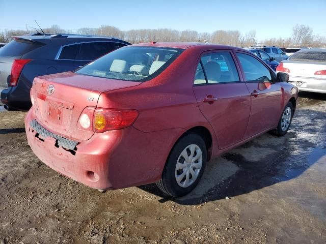 2010 Toyota Corolla Base