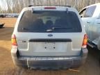 2005 Ford Escape XLT