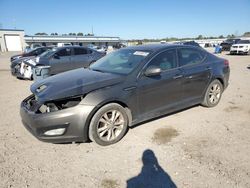 KIA Vehiculos salvage en venta: 2013 KIA Optima EX