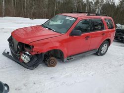 Salvage cars for sale at Cookstown, ON auction: 2009 Ford Escape XLT