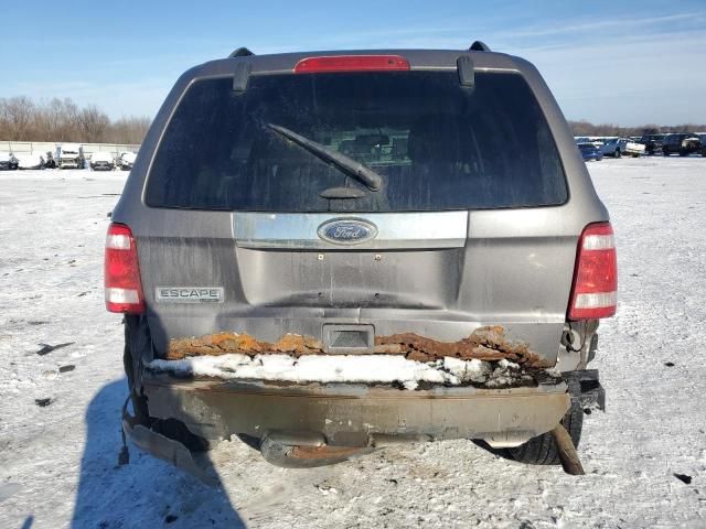 2011 Ford Escape Limited