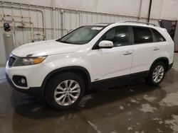 Salvage cars for sale from Copart Avon, MN: 2011 KIA Sorento EX