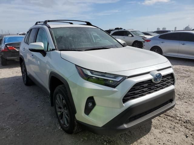 2024 Toyota Rav4 XLE Premium