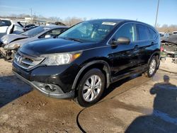 Salvage cars for sale at Louisville, KY auction: 2013 Honda CR-V EX