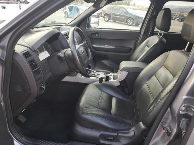 2008 Ford Escape XLT