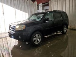 Honda salvage cars for sale: 2011 Honda Pilot EXL