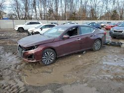 Salvage cars for sale at Chalfont, PA auction: 2023 Nissan Altima SV