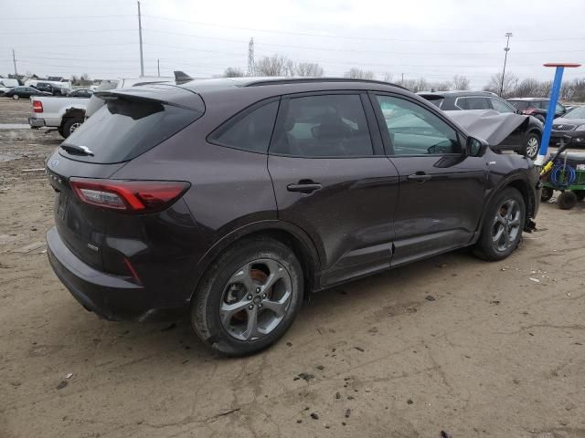 2023 Ford Escape ST Line Select