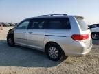 2008 Honda Odyssey EXL