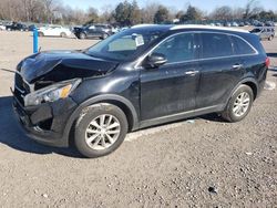 2017 KIA Sorento LX en venta en Madisonville, TN