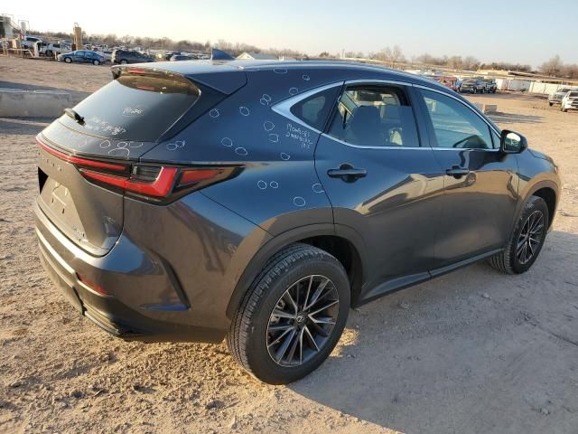 2024 Lexus NX 350 Premium