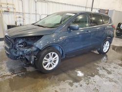 Salvage cars for sale at Avon, MN auction: 2019 Ford Escape SE