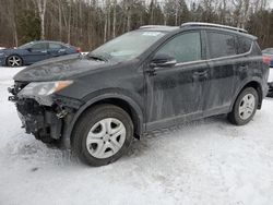 Salvage cars for sale from Copart Cookstown, ON: 2015 Toyota Rav4 LE