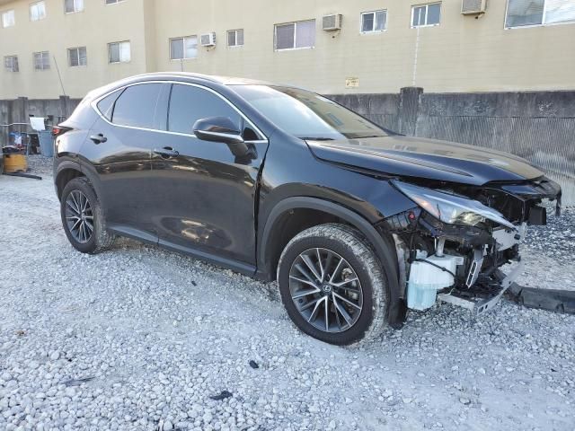 2024 Lexus NX 250 Premium