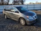 2008 Honda Odyssey EX