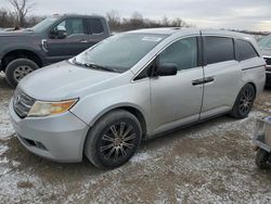 Honda salvage cars for sale: 2011 Honda Odyssey LX