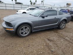 Salvage cars for sale at Mercedes, TX auction: 2006 Ford Mustang