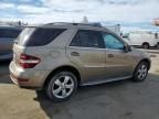 2010 Mercedes-Benz ML 350