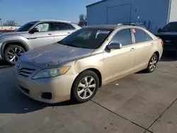 Toyota salvage cars for sale: 2011 Toyota Camry Base