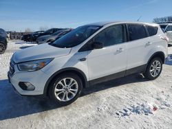 Salvage cars for sale from Copart Wayland, MI: 2017 Ford Escape SE