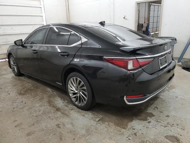 2019 Lexus ES 300H