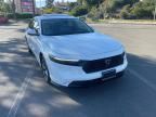 2023 Honda Accord Hybrid EXL